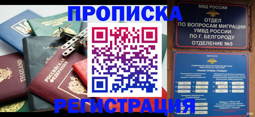 временная регистрация недорого в Козловке